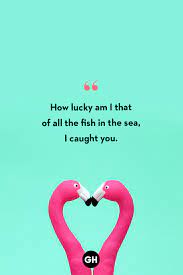 Sweet Love Messages - Captions for Couples