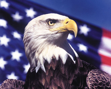 Purpose of American Eagle Day